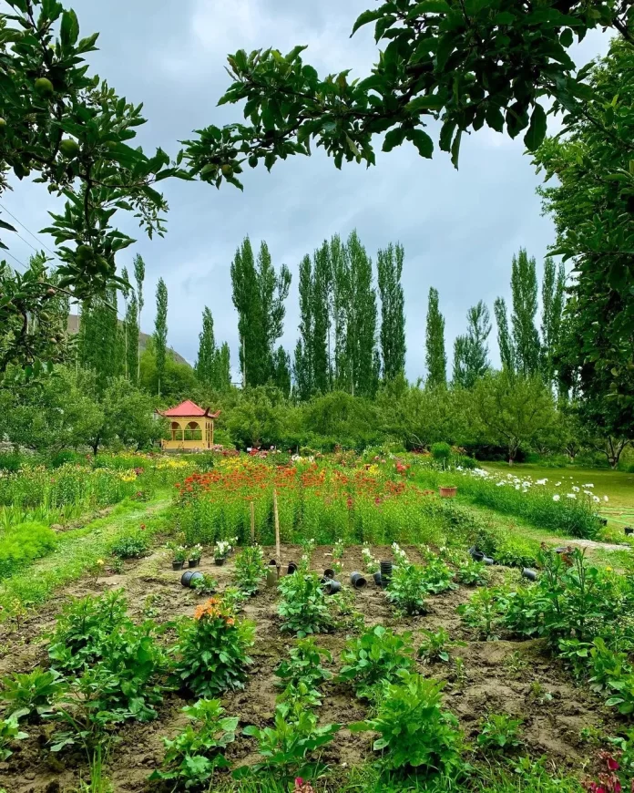 Hashupi Bagh Shigar